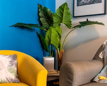 location vacances saint pierre dina run salon plantes canape