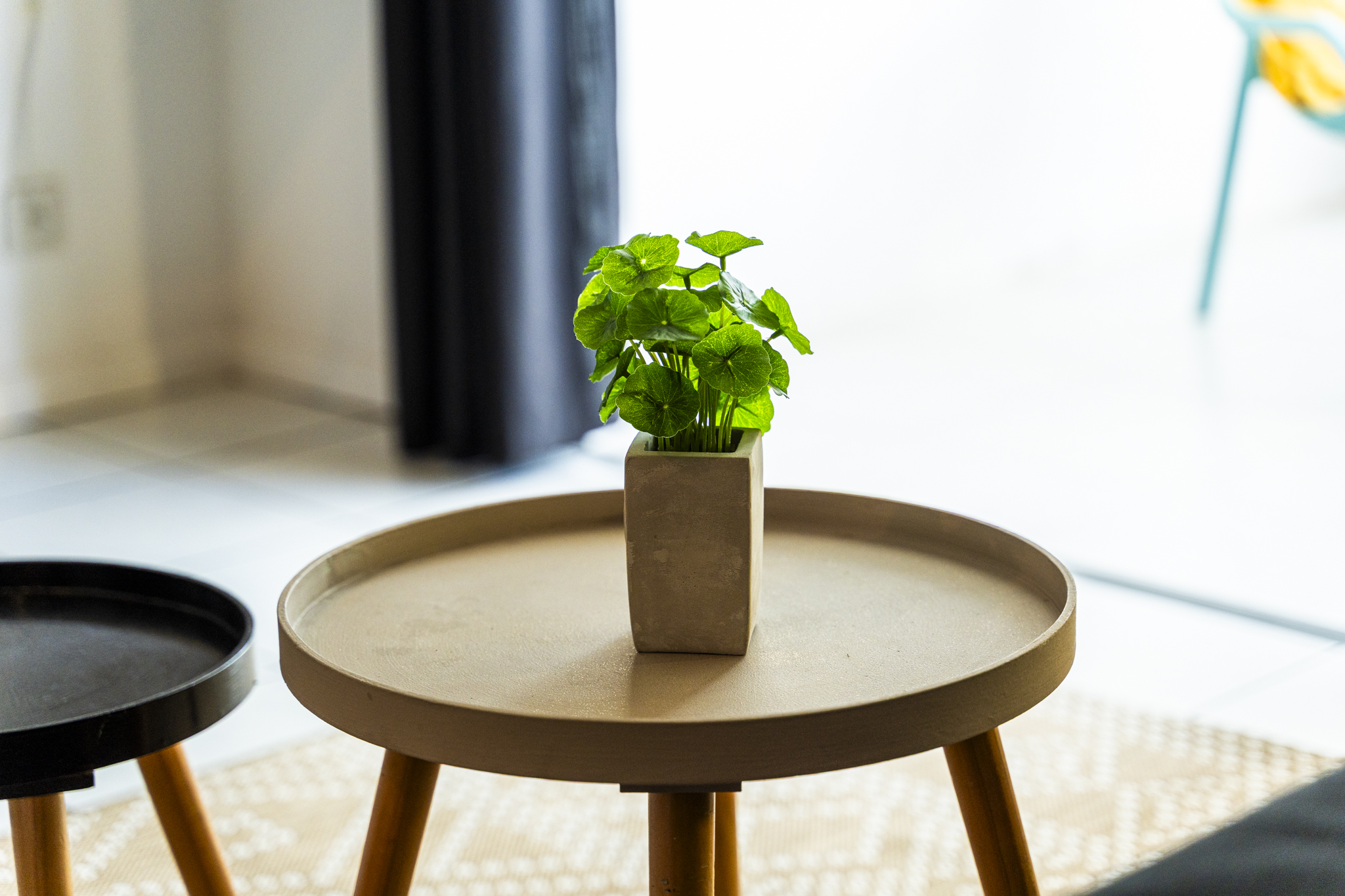 sejour location saisonnier reunion coco run 1